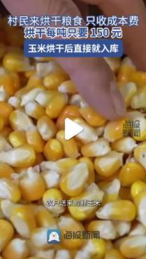 村民来烘干粮食只收成本费 每吨约150元 玉米烘干后可入库储存、也可现场出售。
