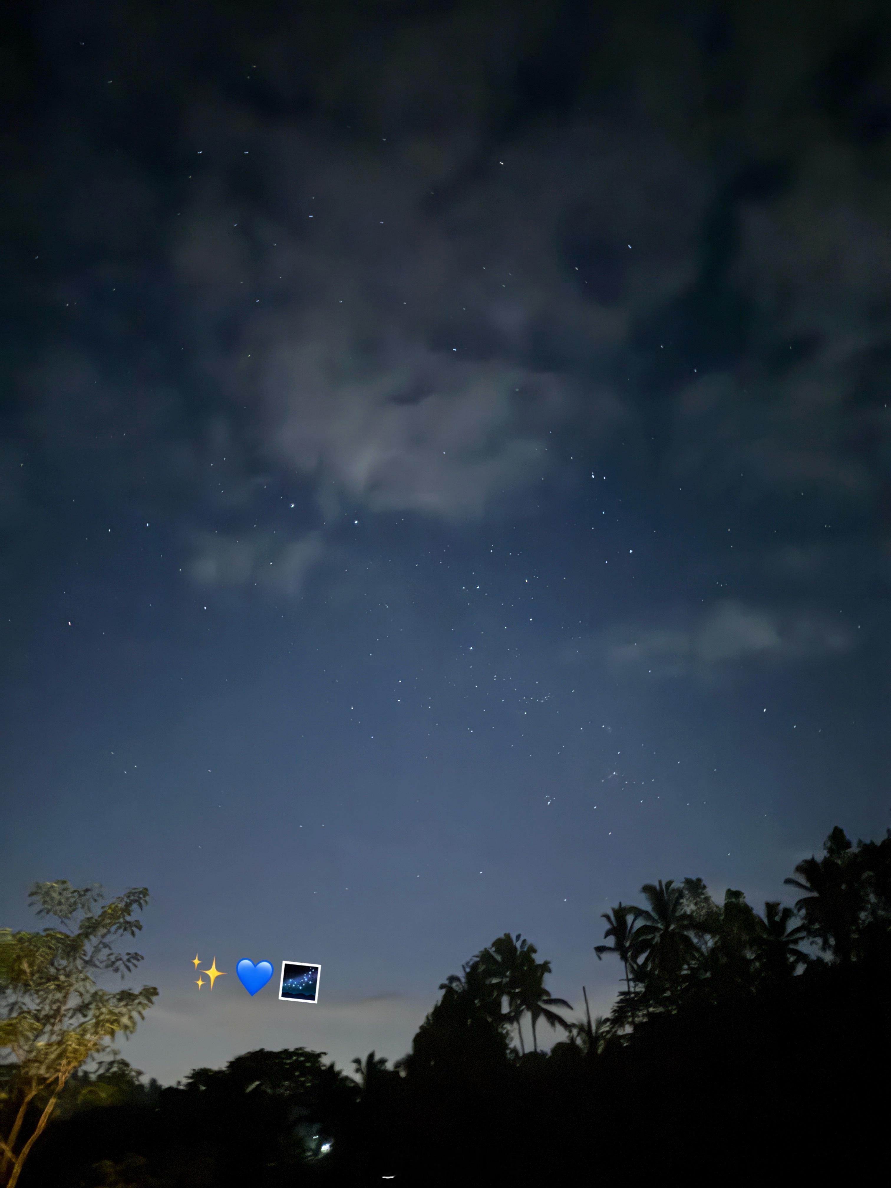 ⭐️ 
