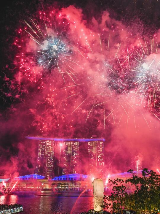 为了这场🎆烟花秀，我特意飞了趟新加坡