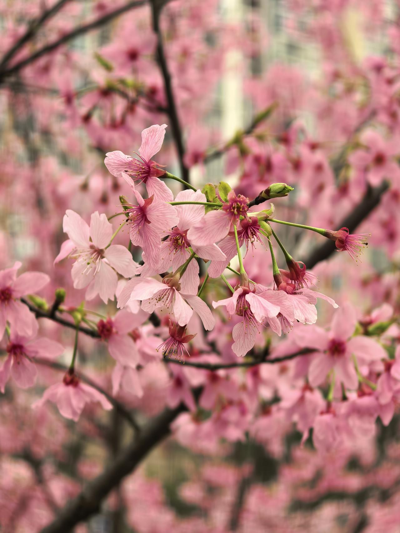 经历与成长
走过的路、经历的事、获得的感悟，这些塑造了独一无二的你。

健康与心