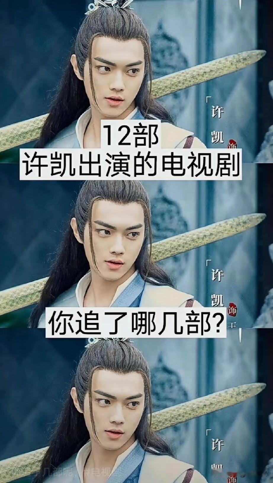 12部许凯主演的电视剧
你追了几部呢？