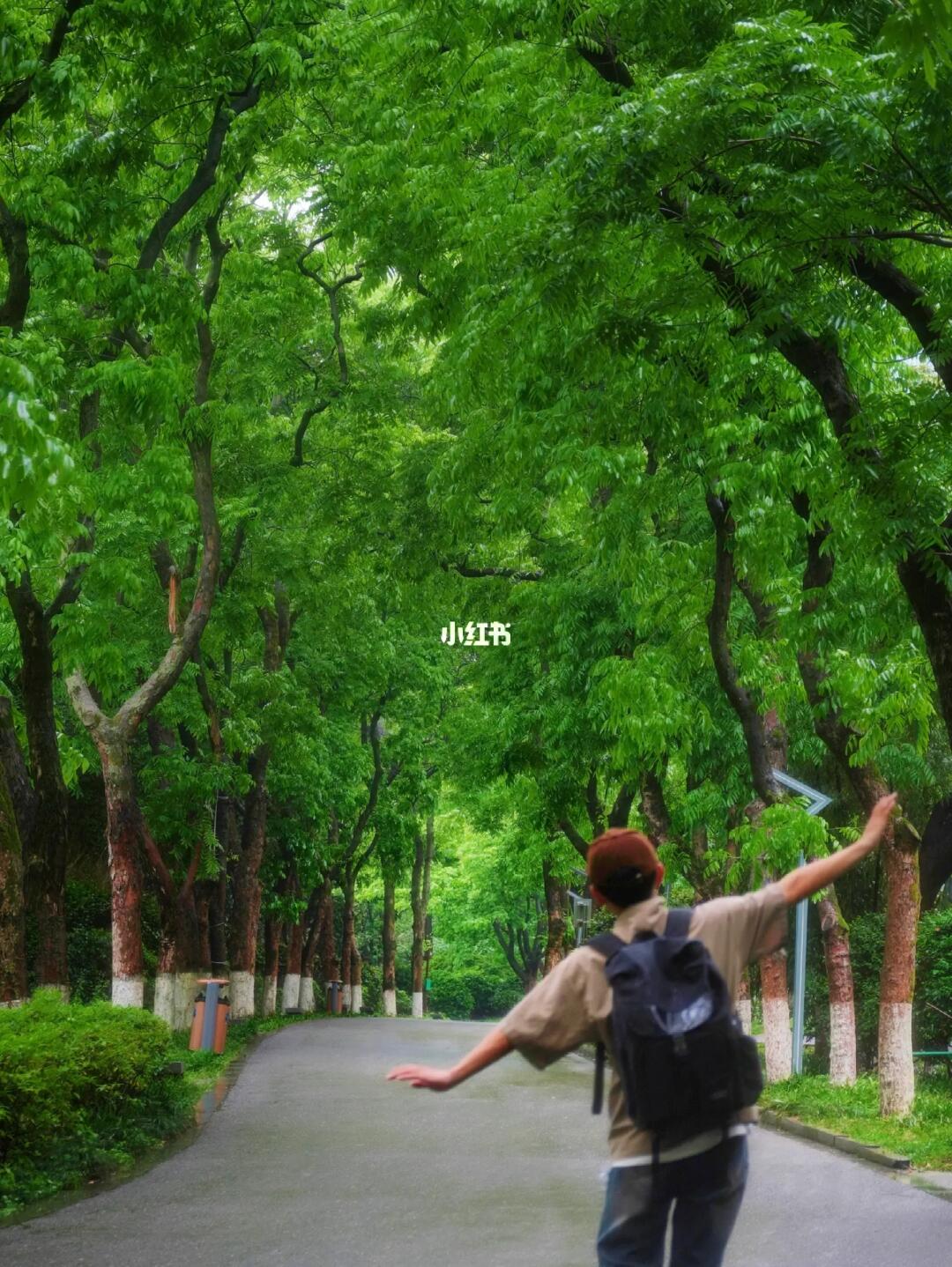 谁能懂啊～5月的长沙大街小巷都好治愈