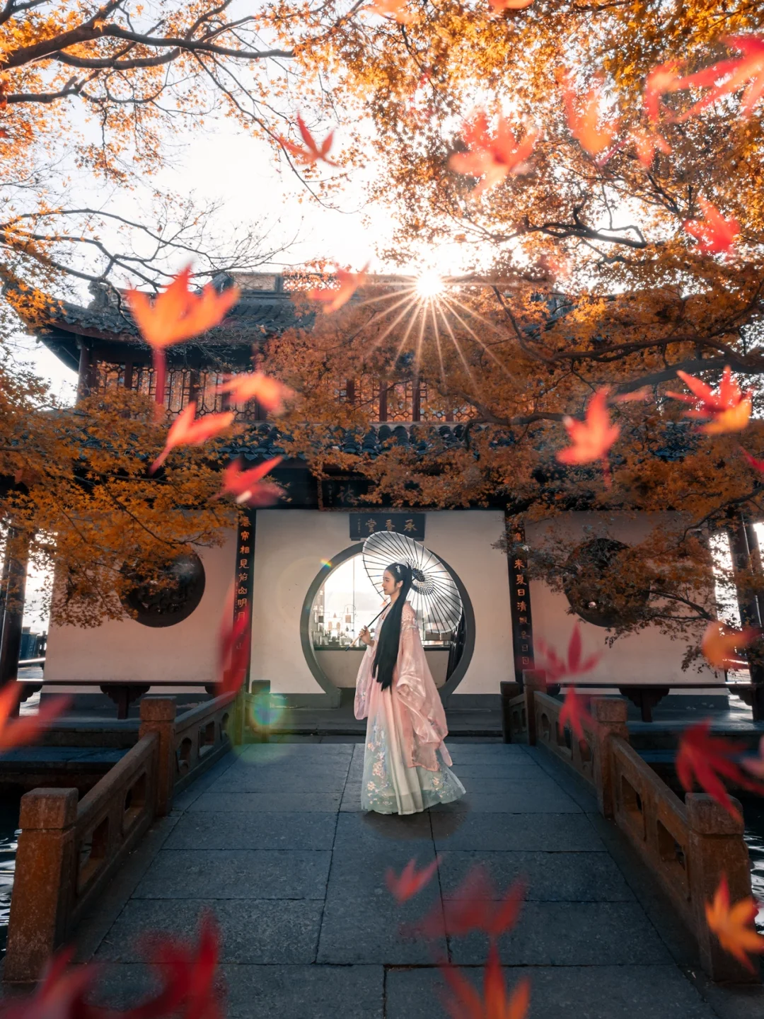 杭州拍照📷6⃣️个绝佳枫叶🍁观赏地🔥错过再等一年