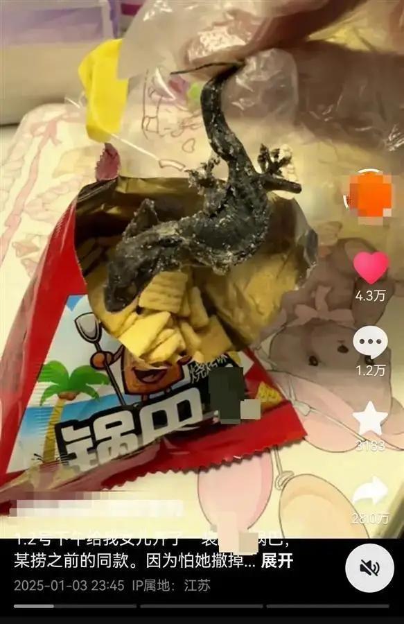 锅巴中的油炸壁虎，不论真假，都说明食品安全非常紧迫。

1月3日晚，一网友称在锅