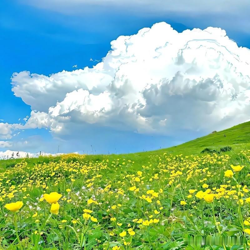 一个男人疯狂想你时，三个表现藏不住：

第一，忍不住找你。
真爱往往内敛，嘴上云