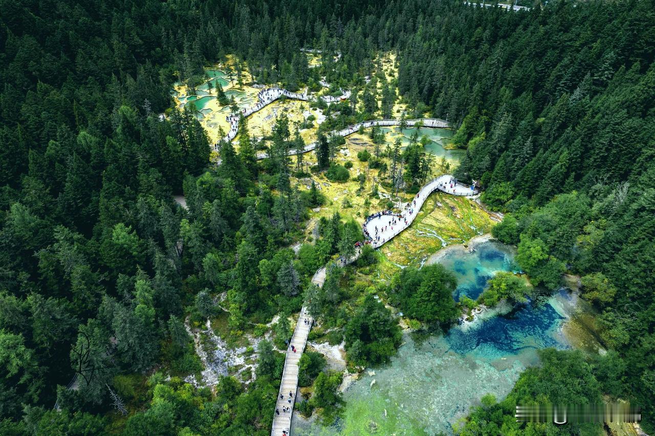 【探访深秋黄龙，邂逅人间瑶池仙境】

🎋黄龙景区，四川阿坝的璀璨明珠，深秋时美