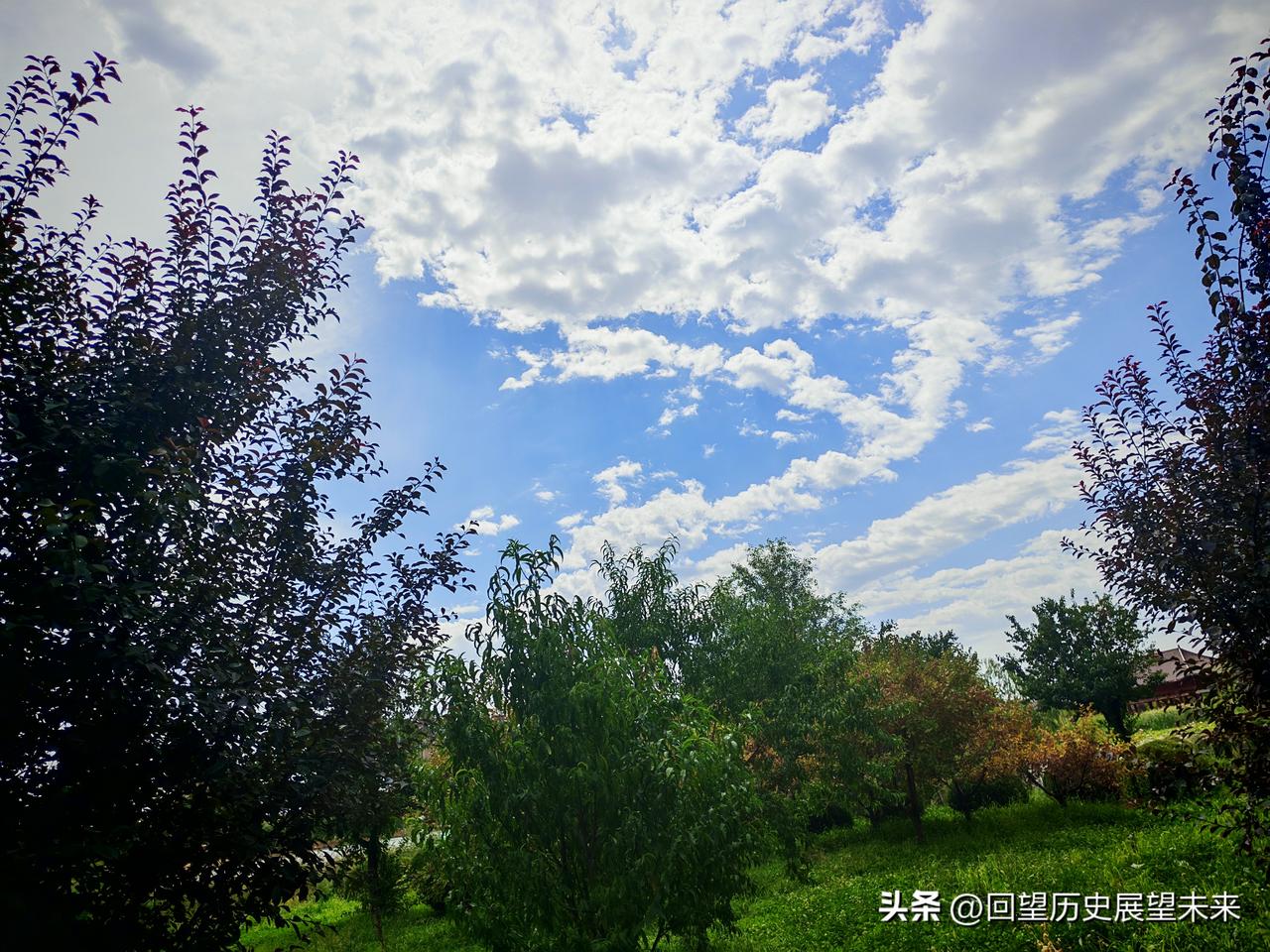 晒图笔记大赛公园一景