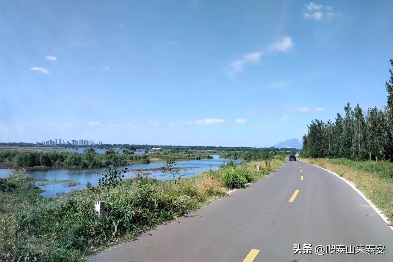 走在汶河湿地公园河畔的大道上 ,心情豁然开朗,好的风景果真能够治愈糟糕的心情 ,