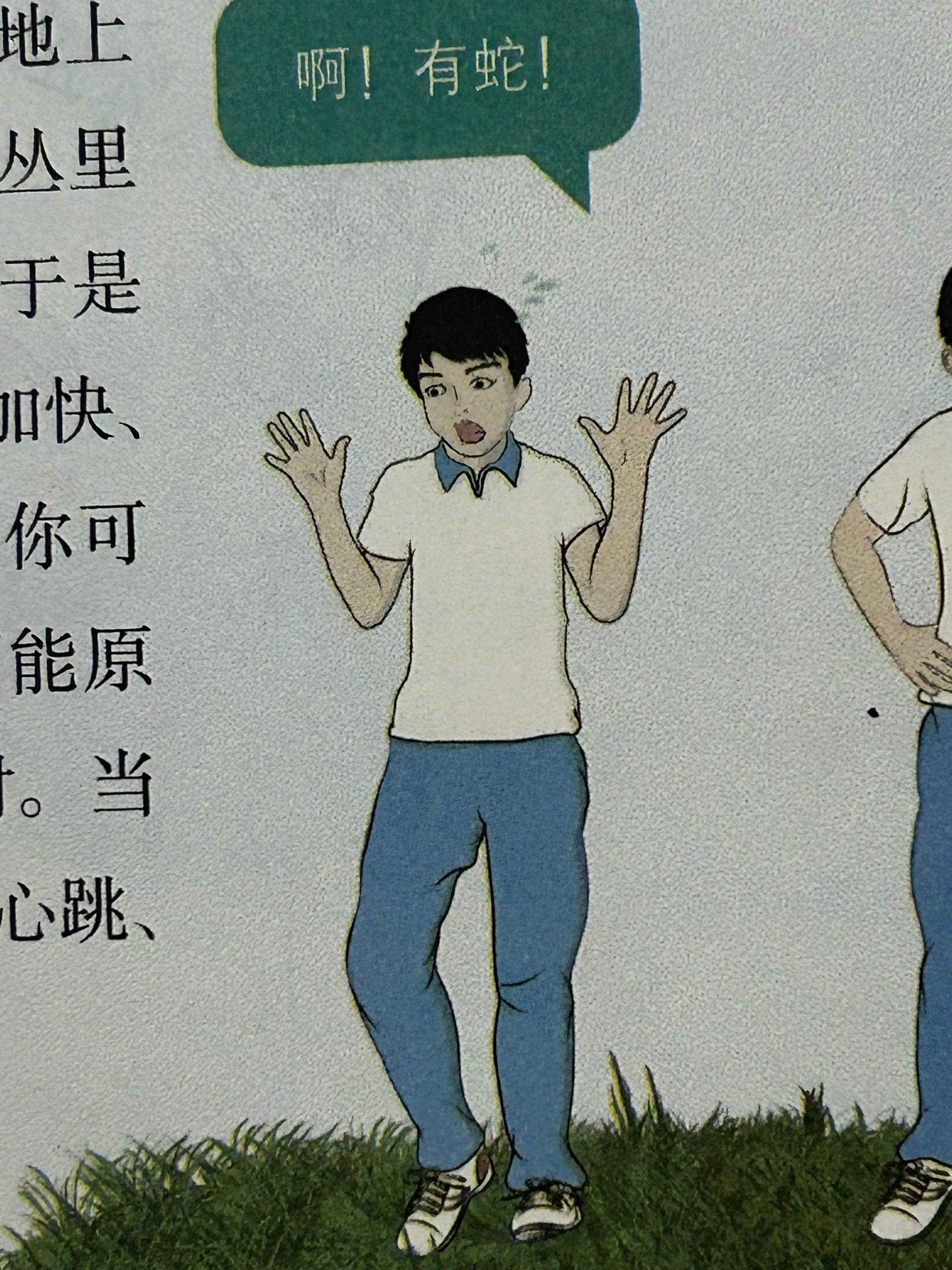 看到生物课本这个插图，我想到了…… ​​​