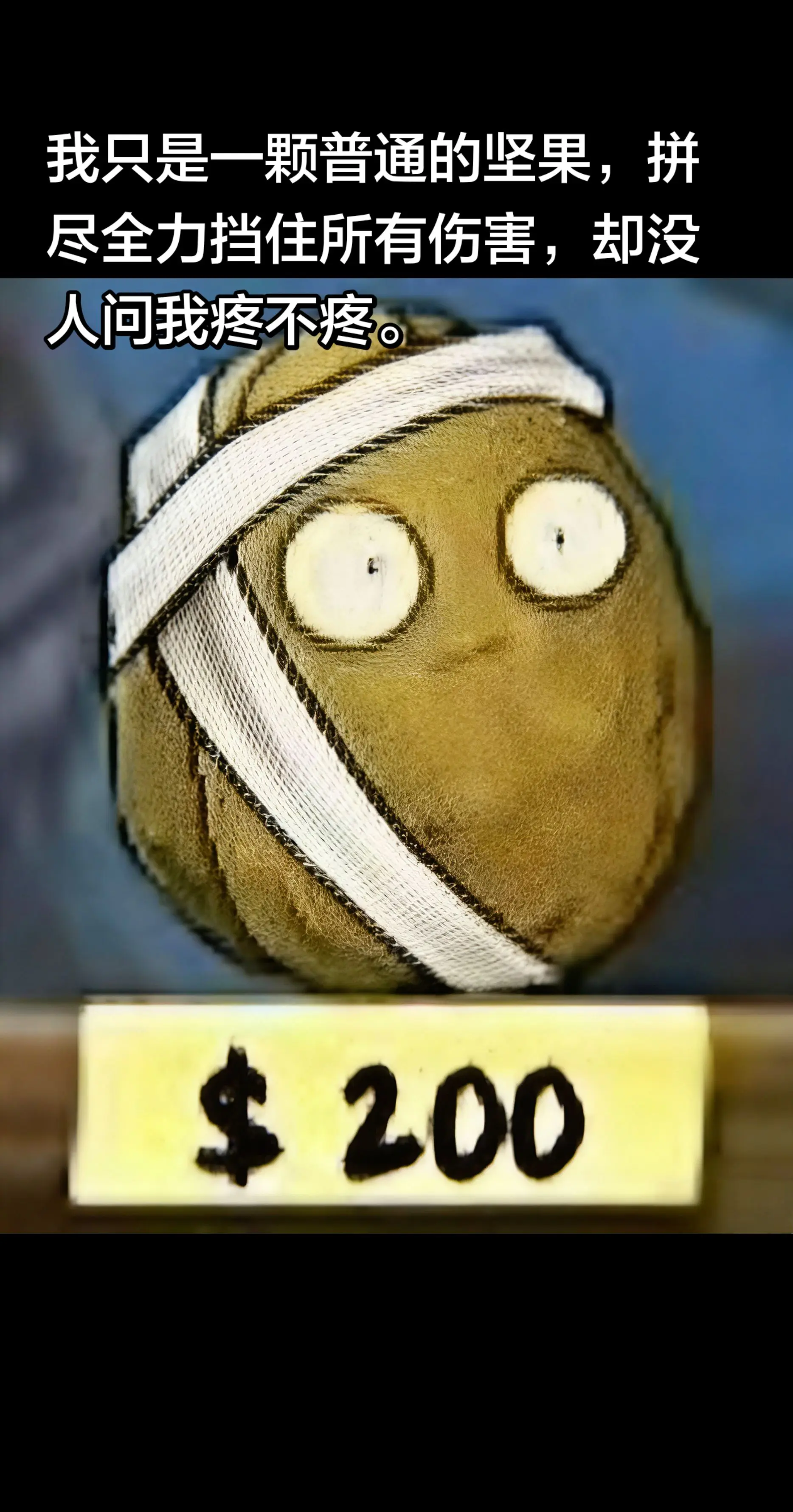 我只是一颗普通的坚果，拼尽全力挡住所有伤害，却没人问我疼不疼。