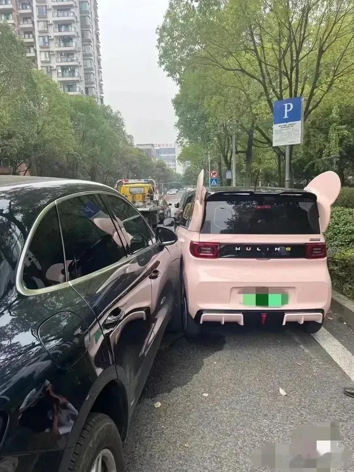 霸道总裁爱上我[捂脸]

      