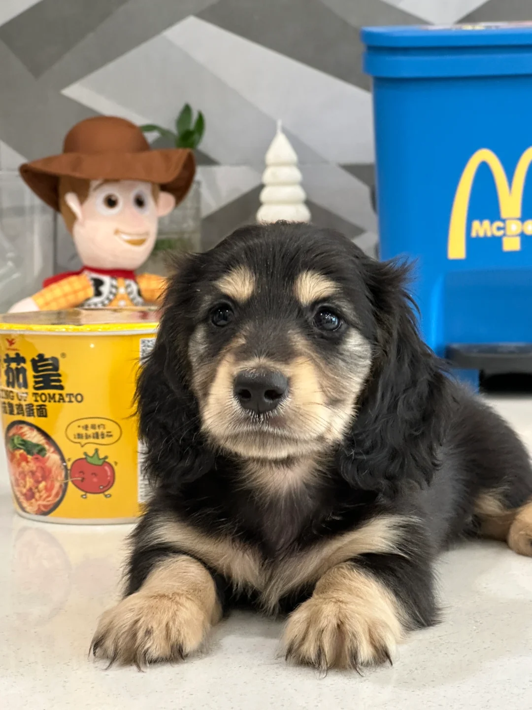 你的小脑袋里在想什么🤔️
