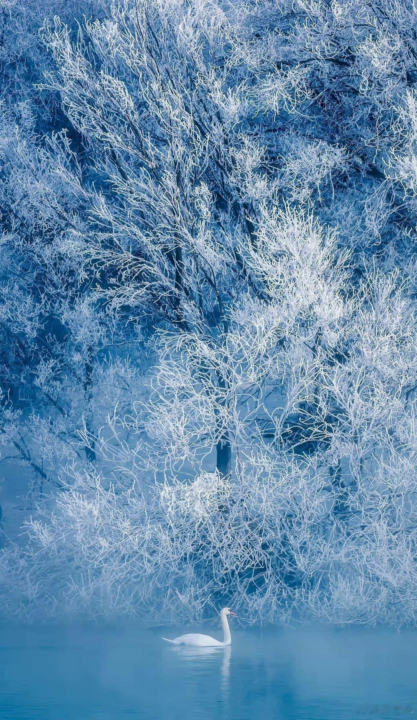 早安早安心语早安,新的一天  早安心语超话  治愈不开心人生感悟人生微语每天说早