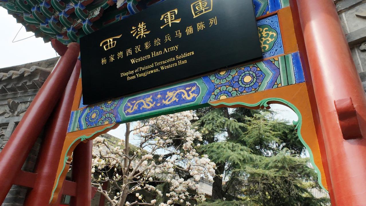 博物院的汉俑不语，咸阳城的春色满城
咸阳故地的春风，似乎总带着几分秦汉的厚重。展