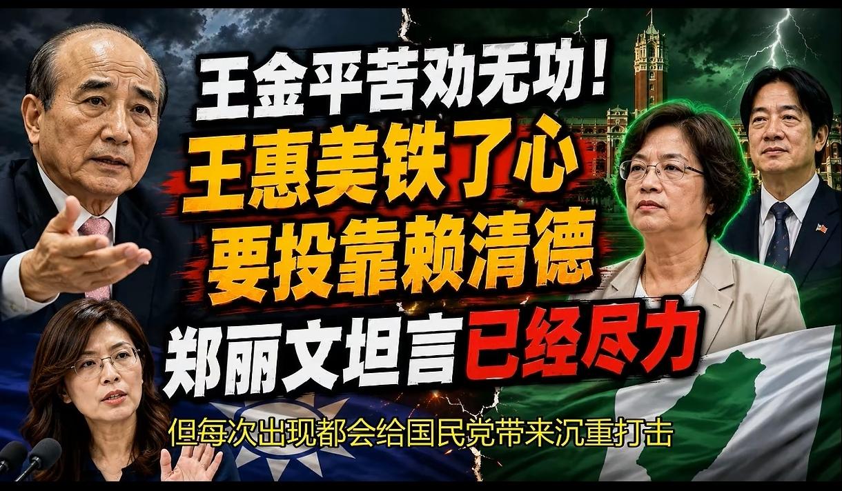 为什么王惠美要去投靠民进党了！连王金平苦劝她也无能为力呢？大家怎么去看待这个问题
