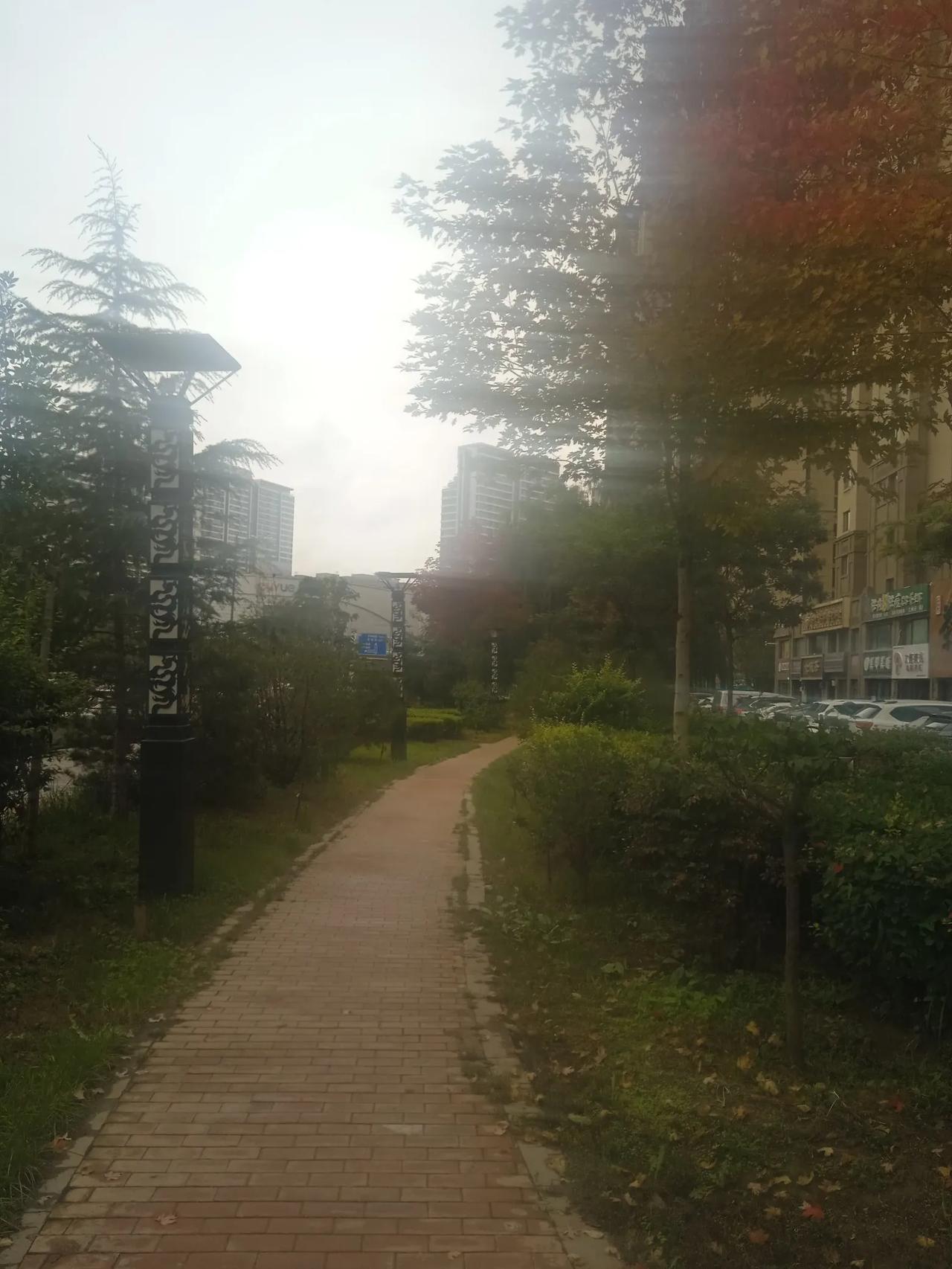 #一张图分享秋日风光#去随便走走就能#分享秋季美景# ，太好了#秋天出游随手拍#