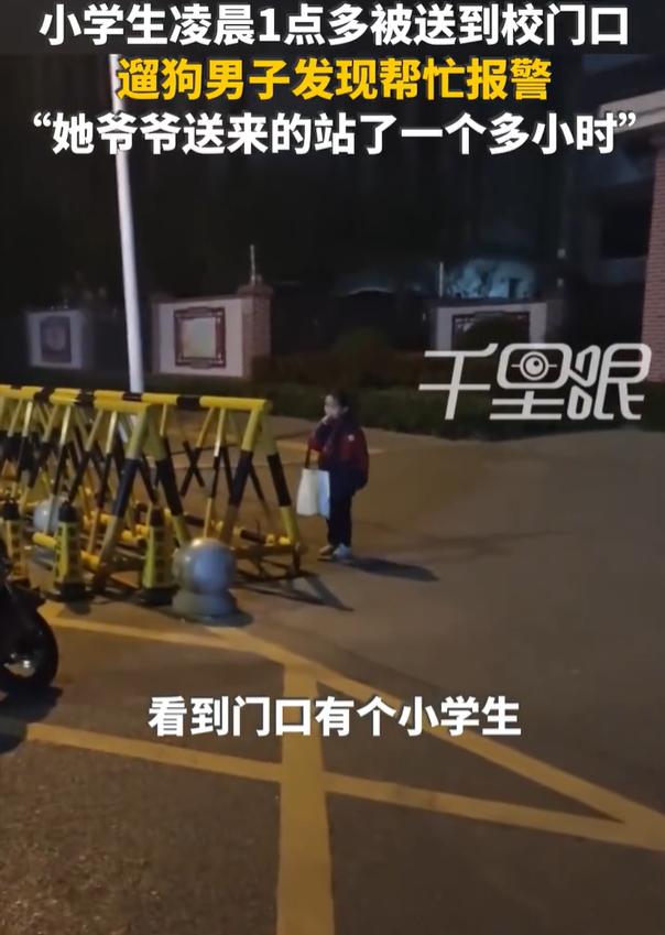 小学生凌晨1点40被爷爷送到校门口3月30日，河南洛阳。常先生凌晨3点多出门遛狗