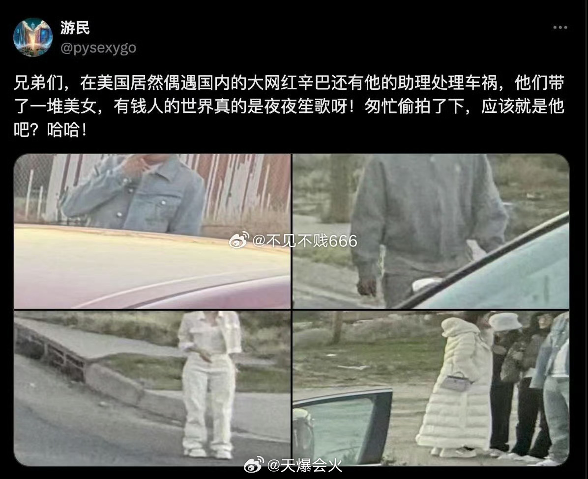 辛巴至今未归，有网友在国外看到了辛巴！