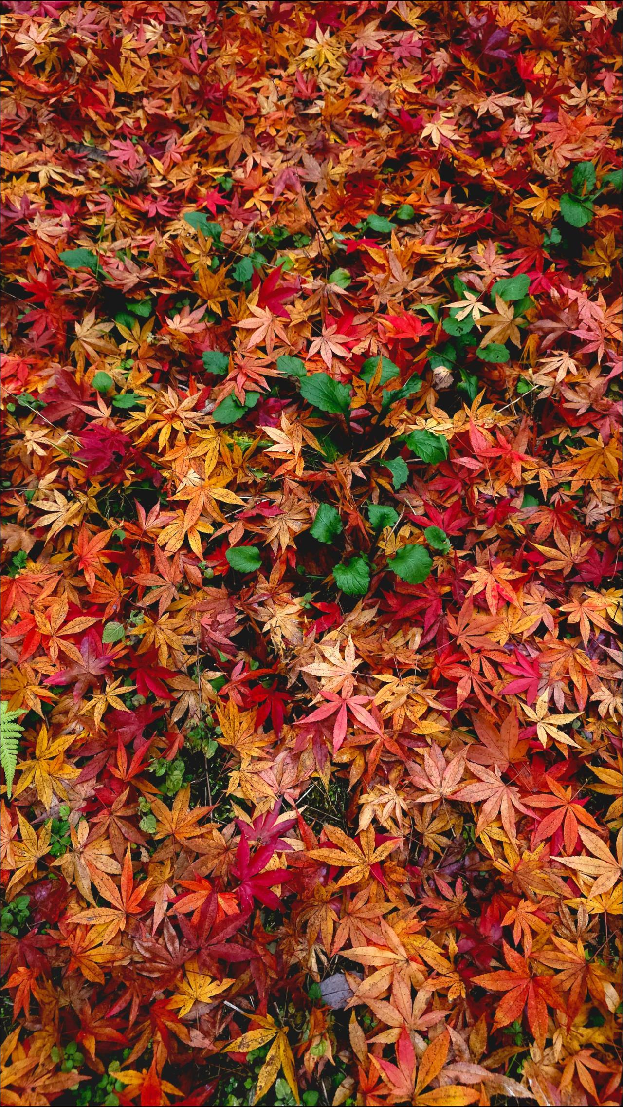 想要了解更多摄影路线，
报名🉑戳我📬私信哦