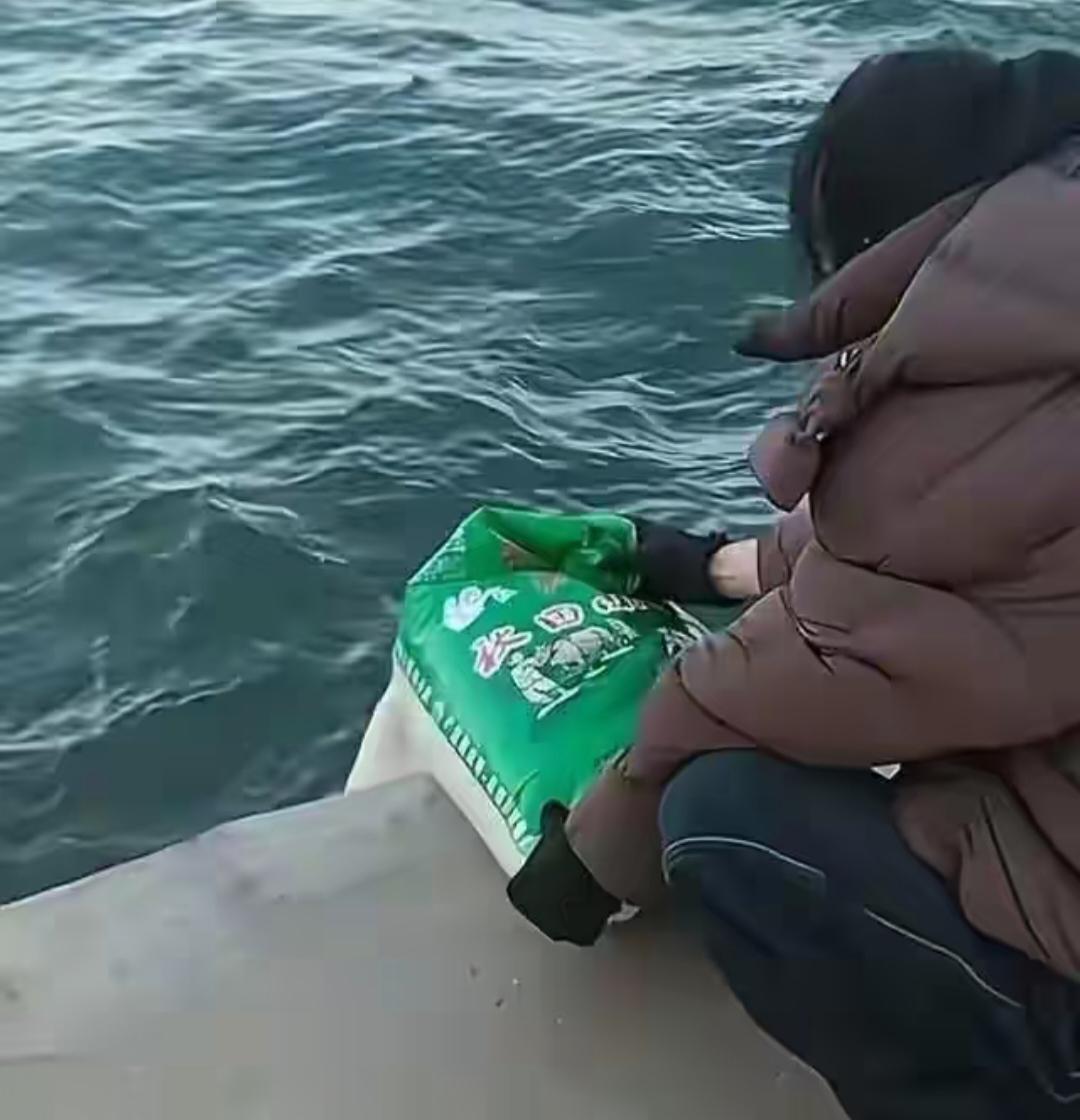 葫芦岛有人往海里“放生”大米
11月20日，在辽宁葫芦岛一处海边码头发生了一件匪