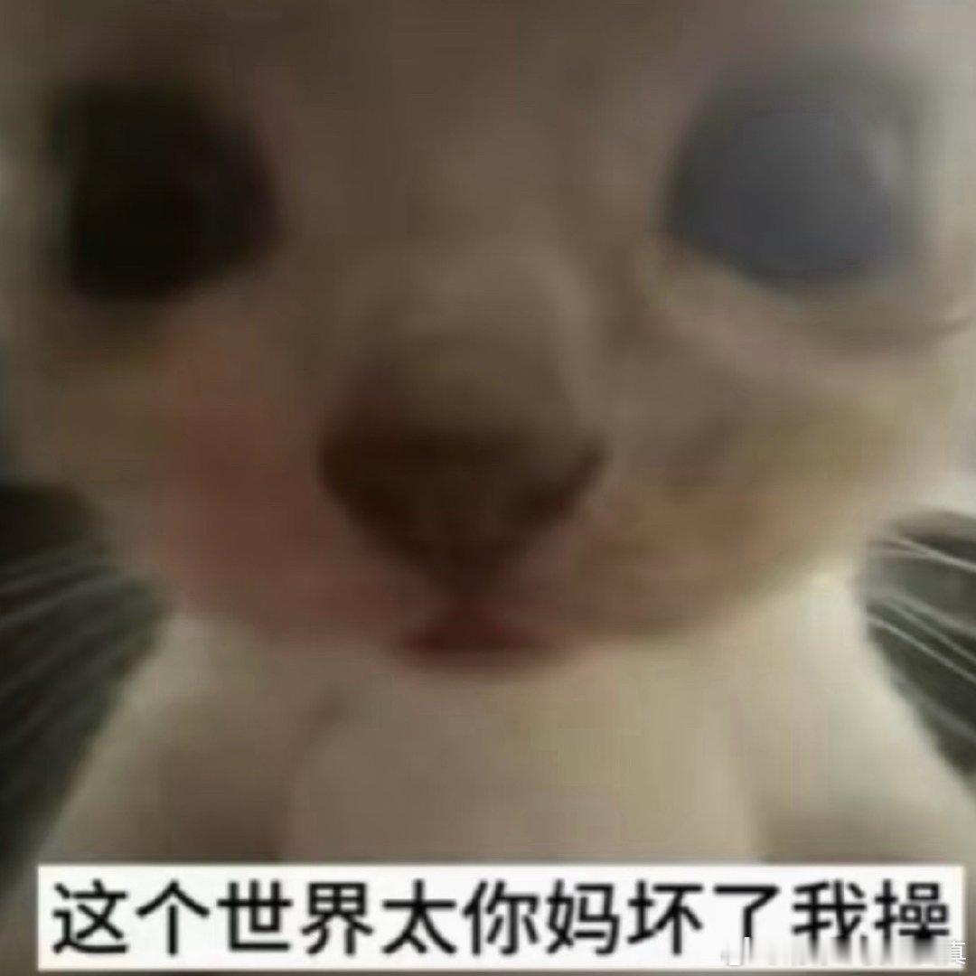 以后再跟谁讲真心话我就是狗 