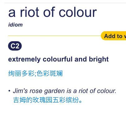 遇到个好短语：a riot of colour（五彩斑斓、绚丽多彩）。这个 ri