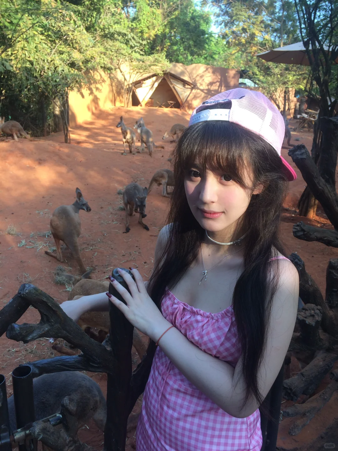 达成在突突车上听dj曲成就🇹🇭