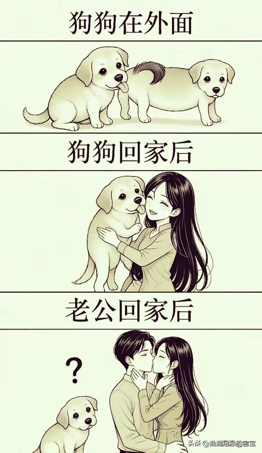不是吧？看来养宠物的女生需要注意了！养宠物的女生 养宠行为 萌宠养宠