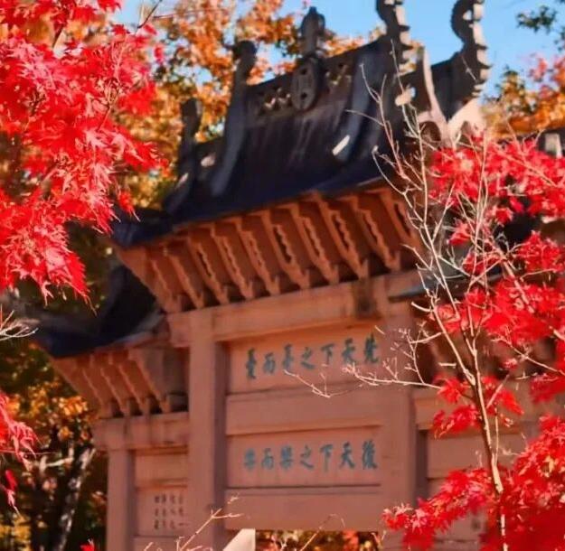 致全国文旅部门及各文化类景区的公开信——建议全国文化类景区面向全国游客免首道门票