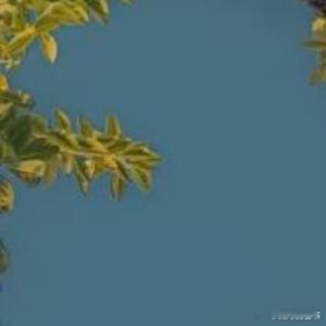阳光信用[超话]阳光信用每日一善 老师老师[举手]请跟我互动[举手][举手]生命