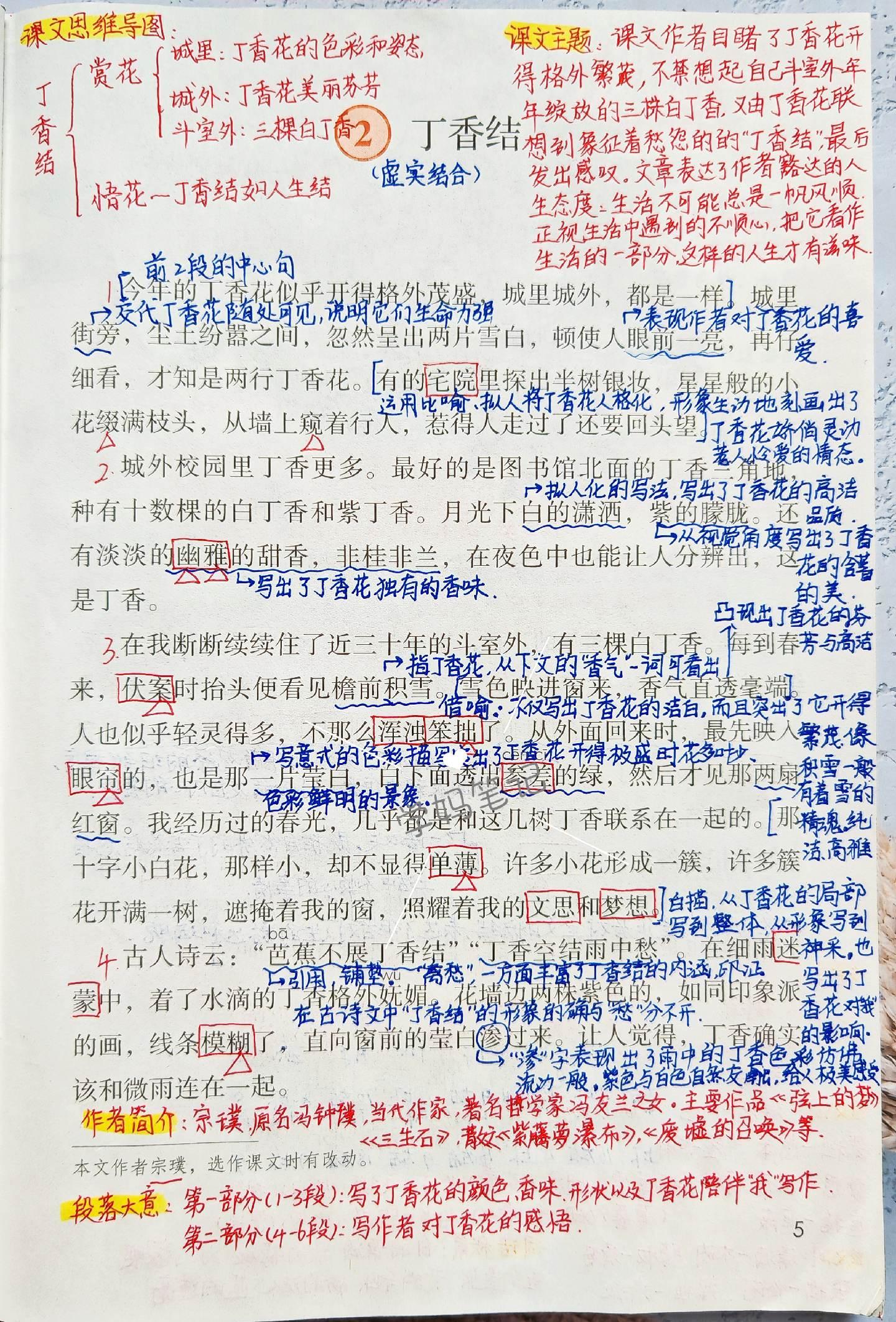 六上语文课堂笔记-2。第二课《丁香结》中作者目睹了丁香花开的格外繁茂...