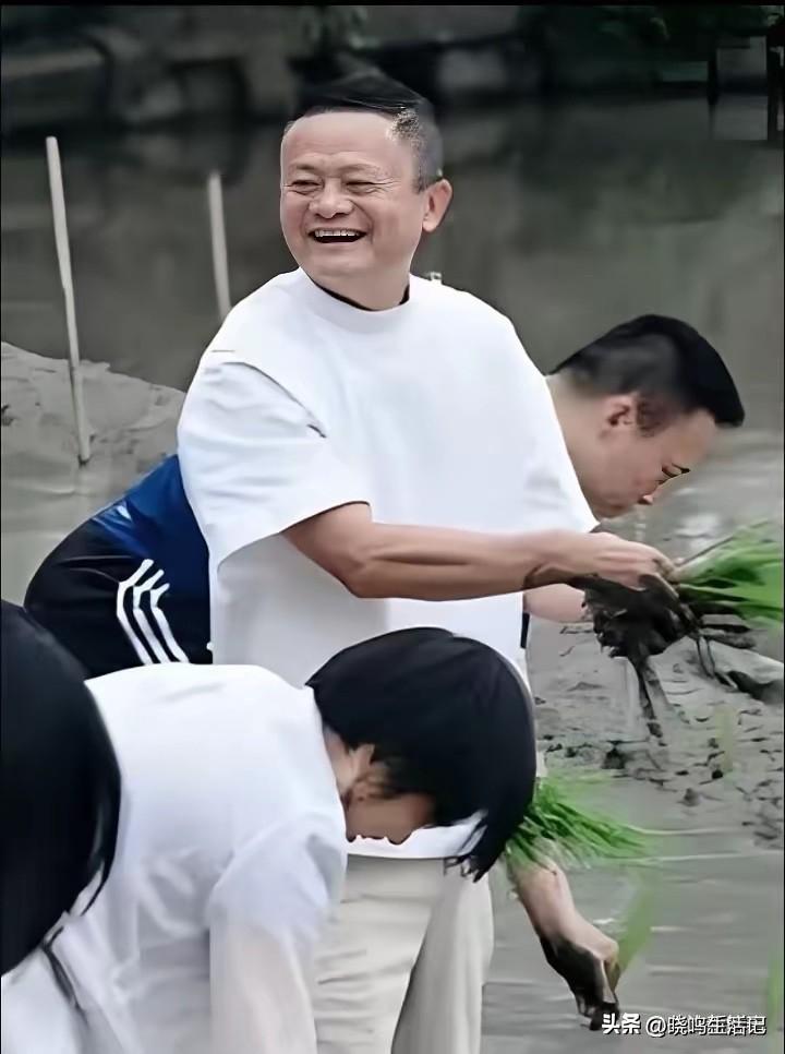 有钱有闲，日子过的很充实啊。