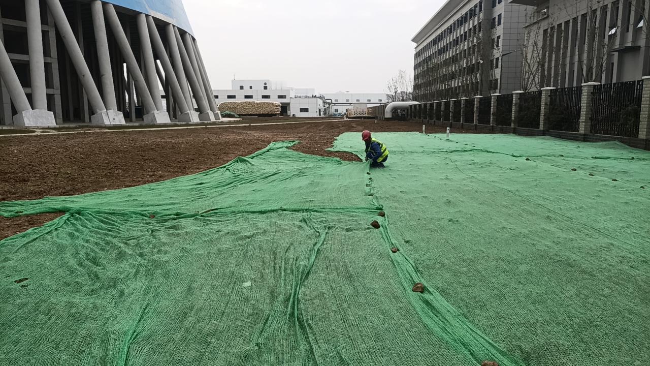 你是否也曾在厨房里看到父母忙碌的身影，却觉得理应轮到自己分担？又是否曾因为一顿饭