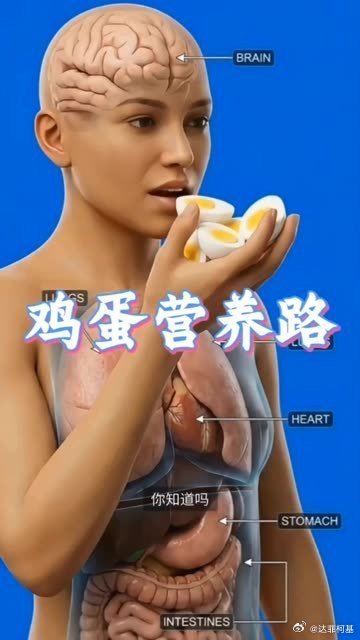 📌让我们明白日常饮食里藏着这么多身体的奥秘>>网页链接 让我们明白日常饮食里藏