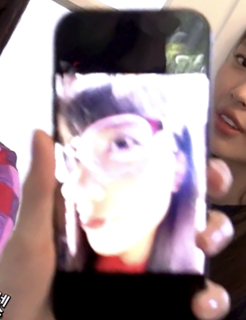 🐹给🐱拍的照片，都说太像鱼了，所以只能展示一秒 