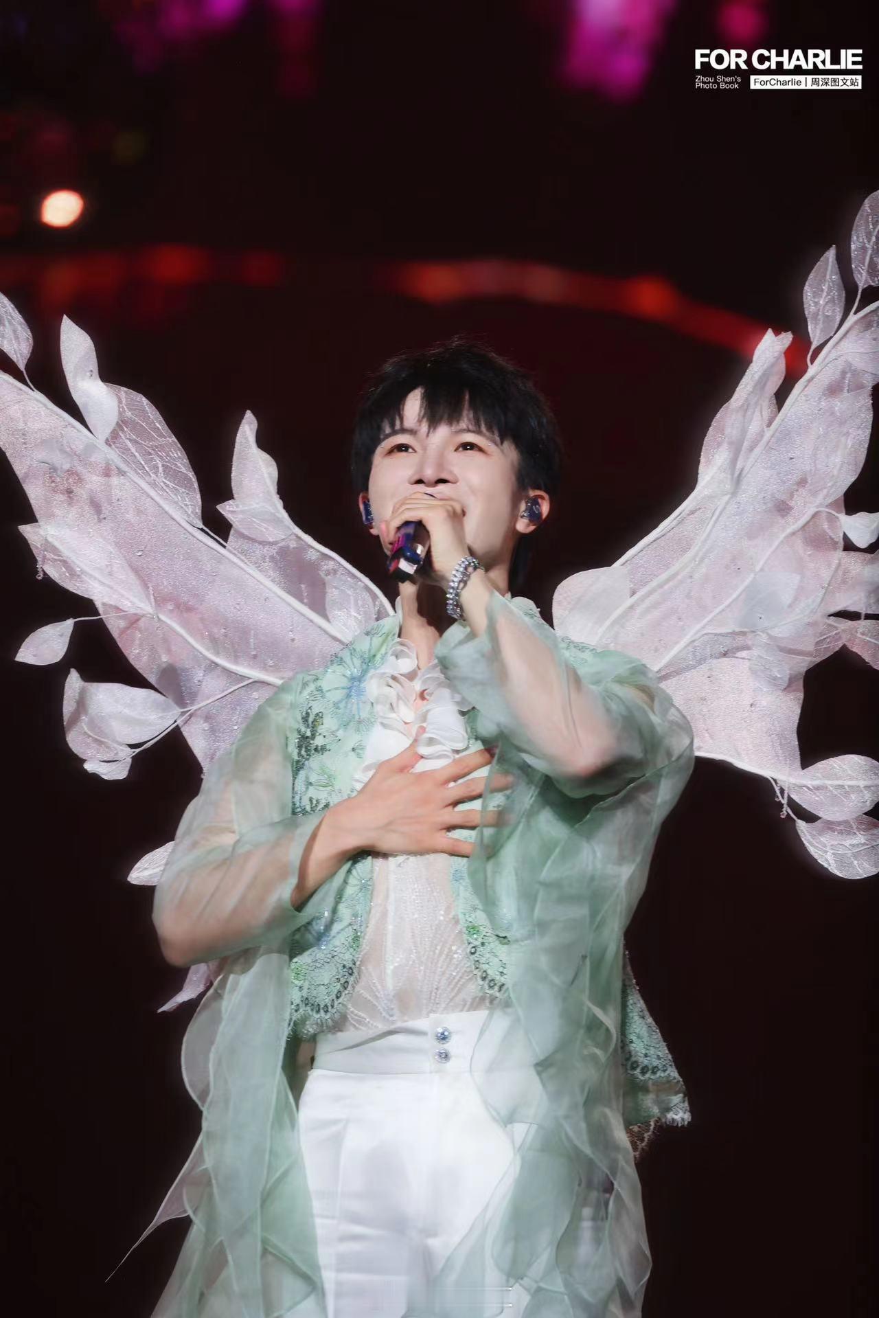 #周深翅膀支棱起来了#周深在演唱会上的精灵翅膀造型，如同为舞台注入了神奇的魔力，