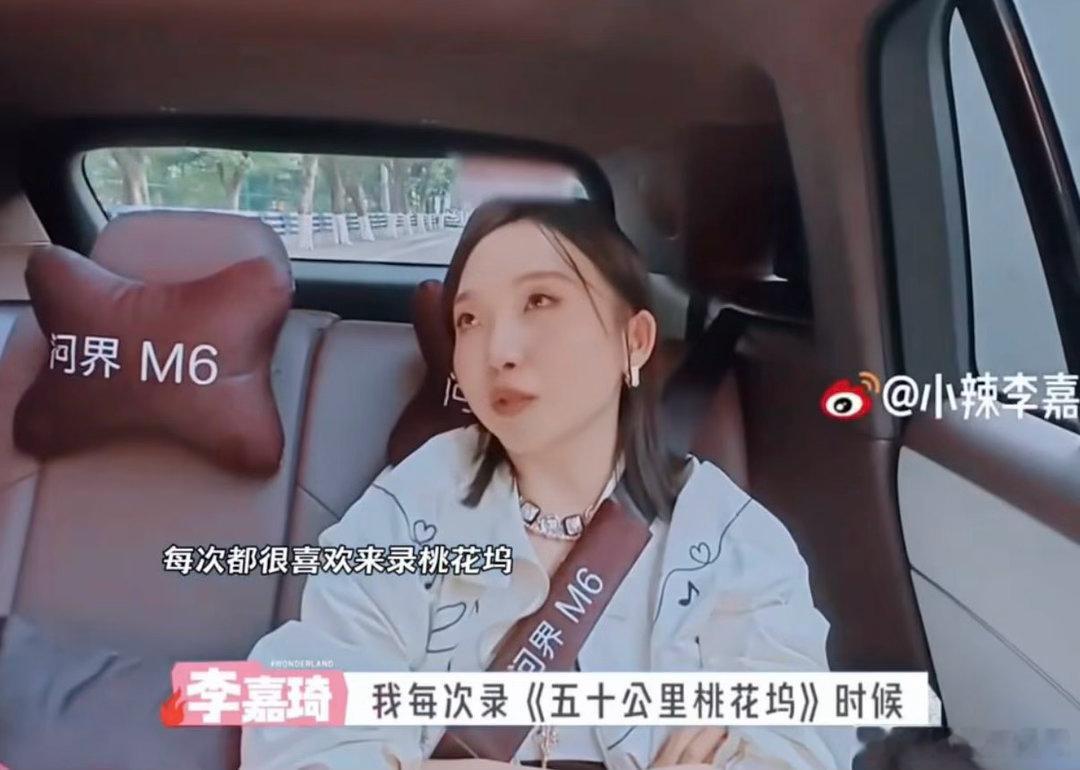 看得出来沈月李嘉琦是真喜欢桃花坞沈月李嘉琦是真喜欢桃花坞综艺录制更像是一场温暖旅