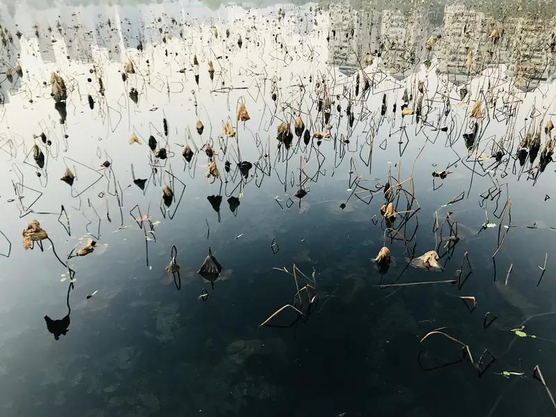 想让自己越来越强大，首先得有明确目标。就像爬山，没有山顶这个目标，很容易在半山腰