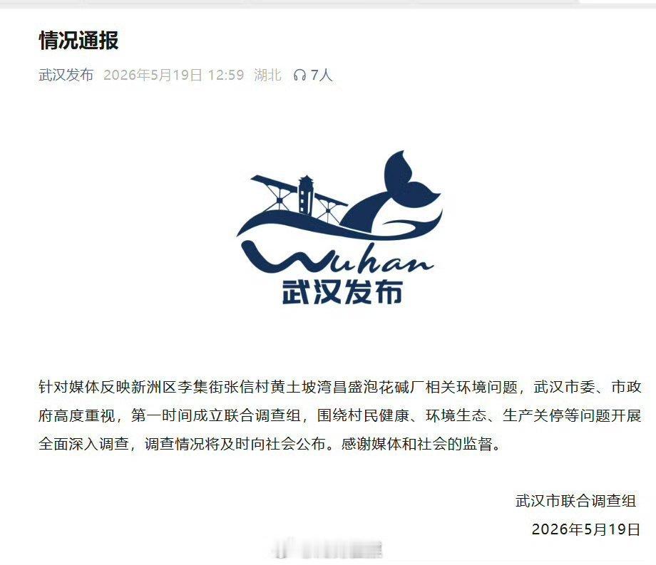 武汉市联合调查组发布情况通报武汉真的很迅速的，针对媒体反映的相关环境问题，第一时