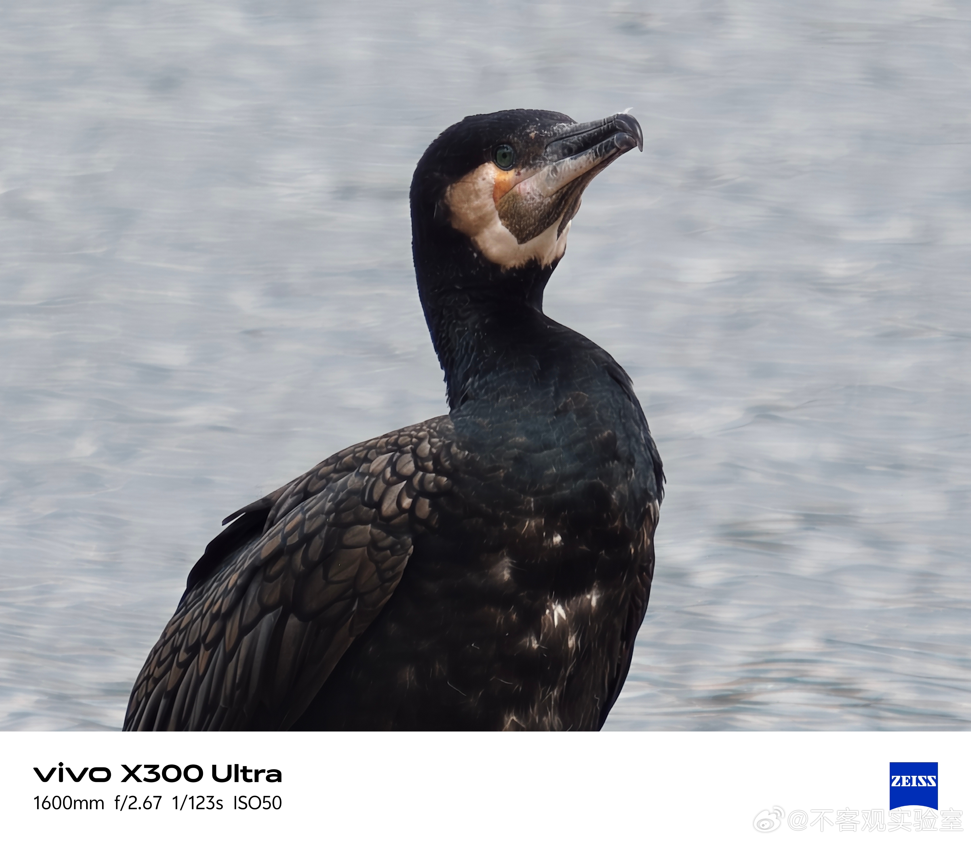 X300 Ultra 样张，均为自行拍摄vivo x300 ultra专业v单