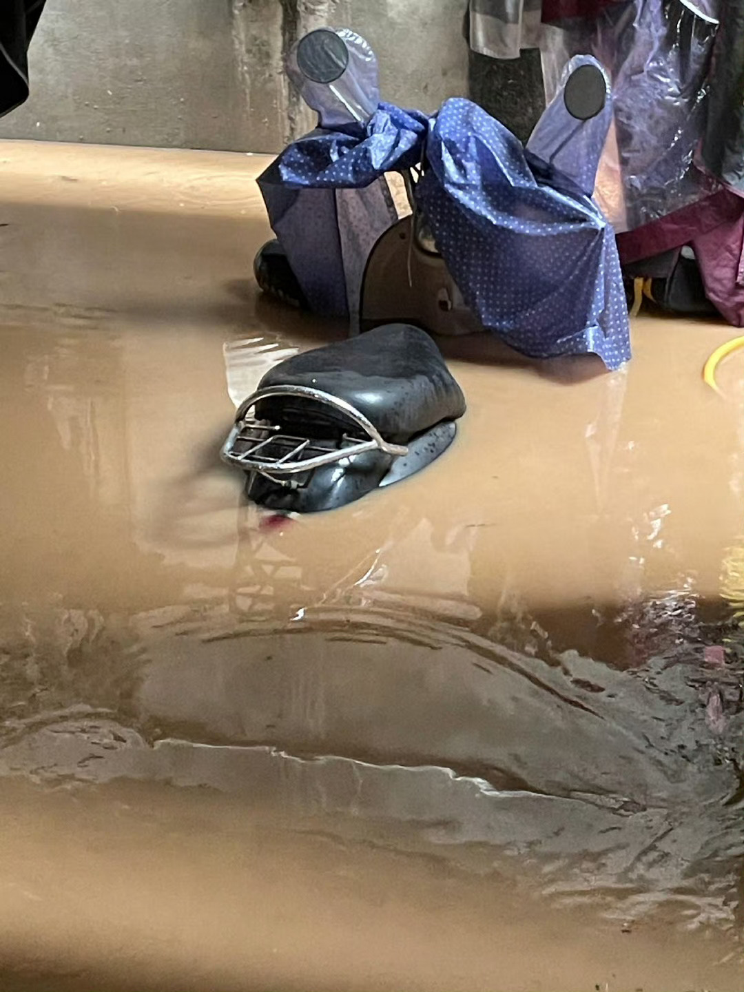 翻看那年今日 每一年的今天都在涨水这两天雨也是一直没停 