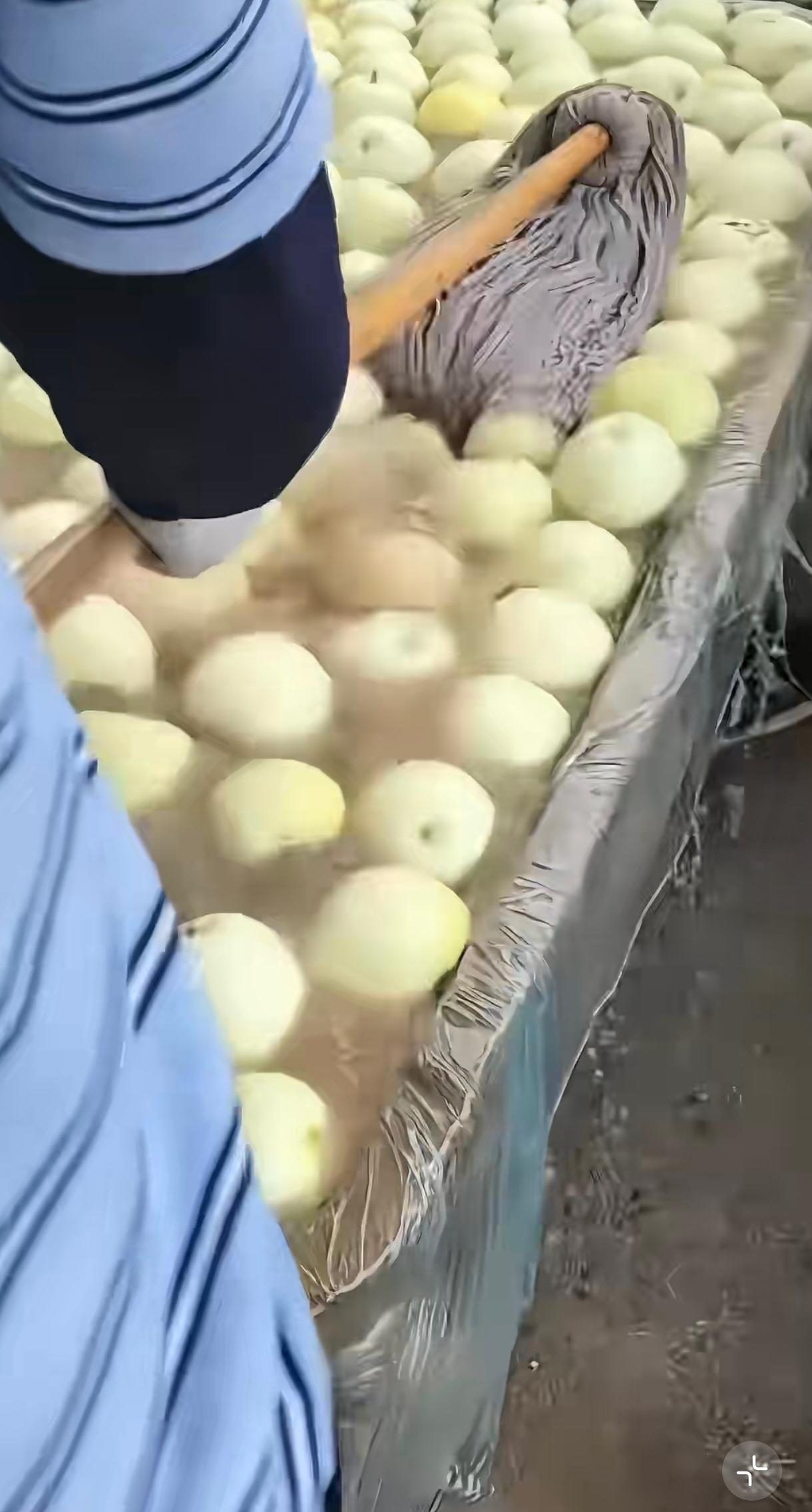 家里的青提买了很久都没坏，用拖把明是什么水，是化学物质吗？猜他们为什么戴手套。大