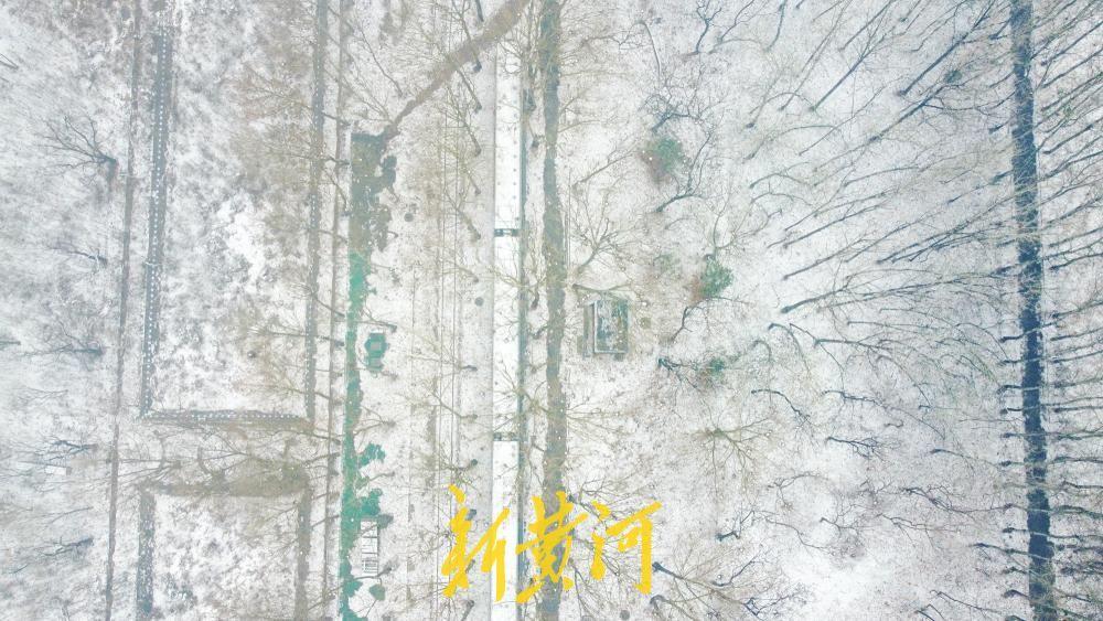 春雪润泉城，雾锁高楼雪覆林！3月2日，伴随着一股冷空气来袭，泉城济南迎来大范围降