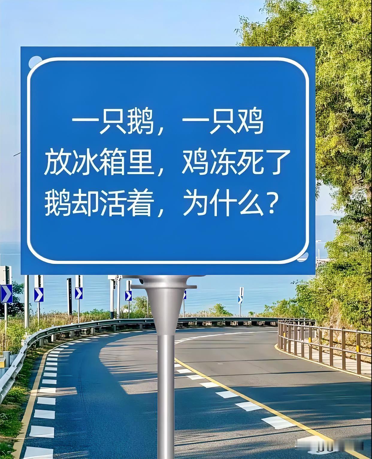 路上有个有趣的脑筋急转弯。