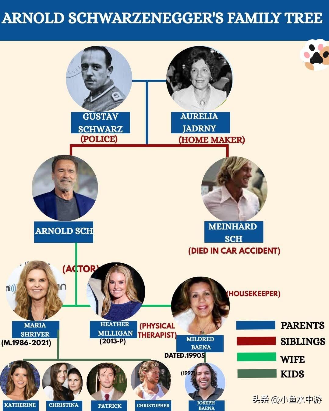 健美冠军、州长、父亲——阿诺德家族背后的完整故事