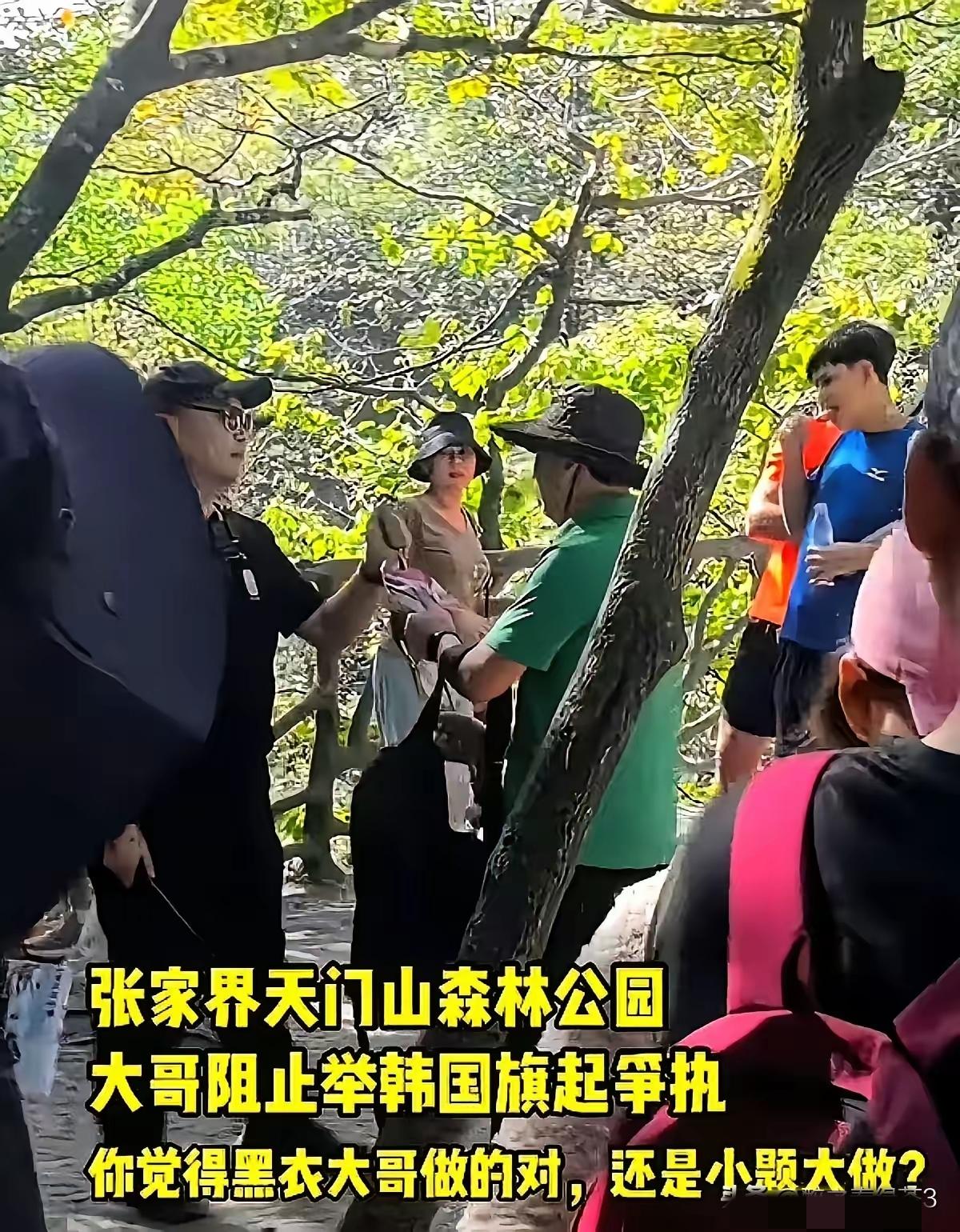 所谓的“爱国”表演，说白了就是一场碰瓷的戏。张家界景区里，那位黑衣大哥抢的不是一