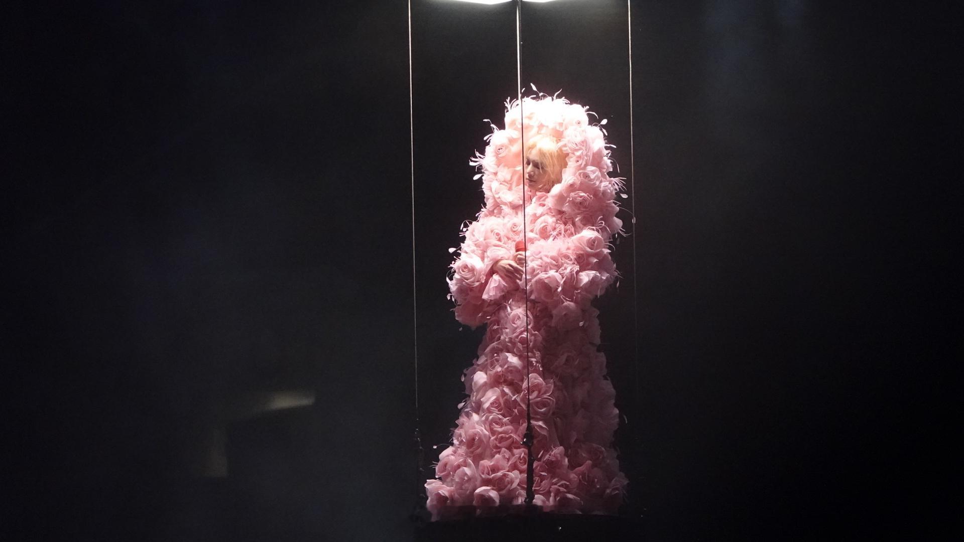 华晨宇粉色永生花造型   华晨宇深圳演唱会粉色永生花造型好鲨，花团锦簇、美神降临