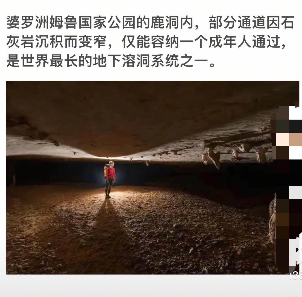 探索婆罗洲姆鲁国家公园的神秘鹿洞，感受世界最长地下溶洞的震撼！