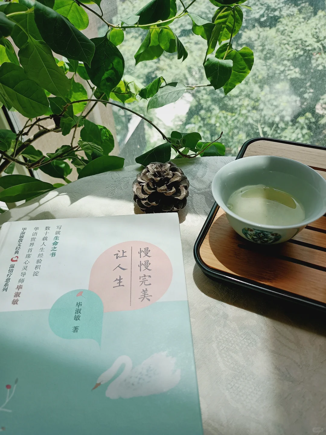 阅读是一种习惯，悦读是一种心情。