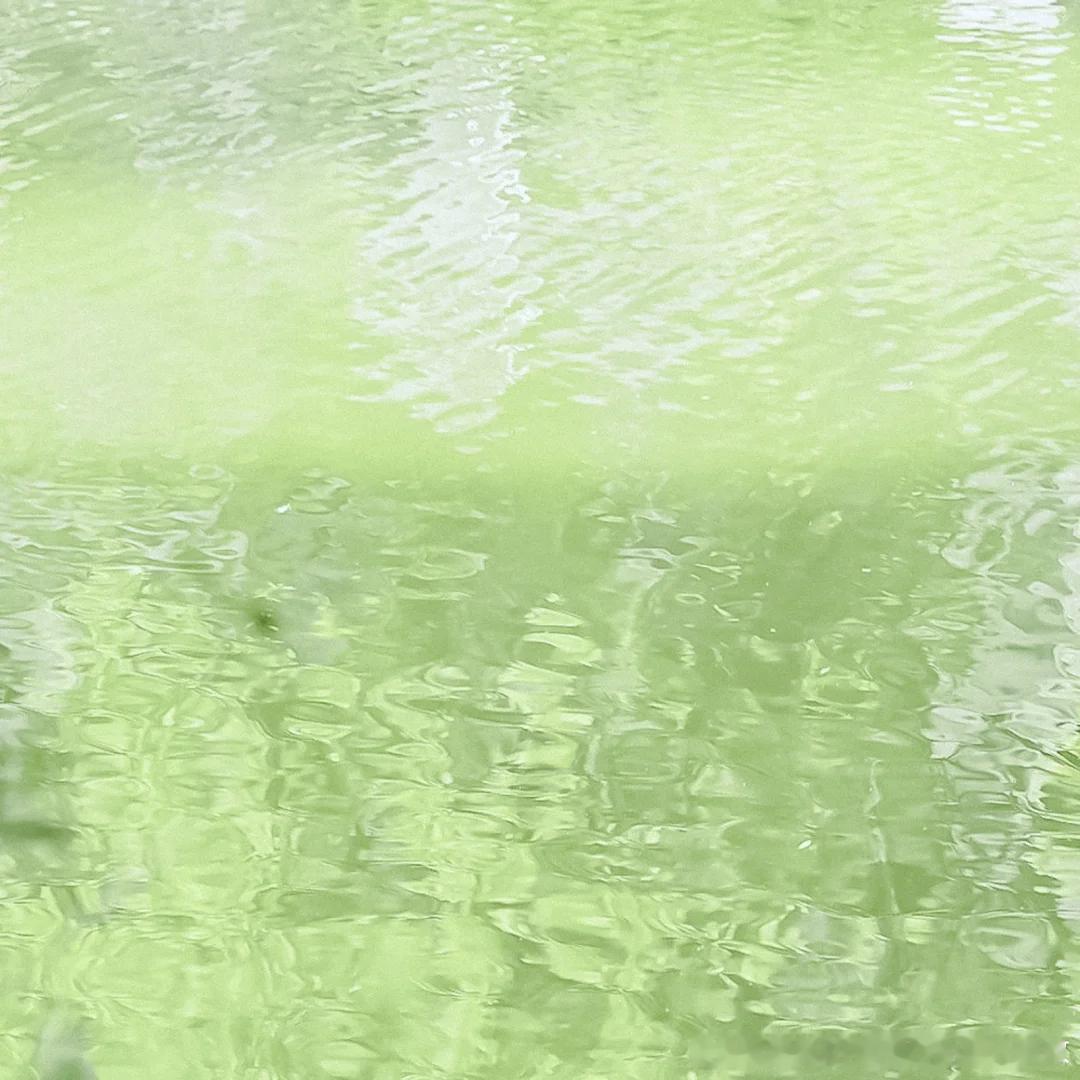 绿色｜背景图｜朋友圈｜小众 